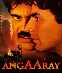 Angaaray (1998) Hindi Movie