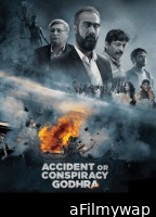 Accident or Conspiracy Godhra (2024) Hindi Movie