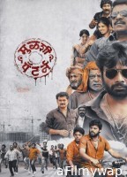 Mulshi Pattern (2018) Marathi Movie