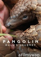 Pangolin Kulus Journey (2025) ORG Hindi Dubbed Movie