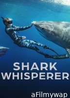 Shark Whisperer (2025) ORG Hindi Dubbed Movie