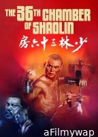 The 36Th Chamber Of Shaolin (1978) ORG Hindi Dubbed Movie