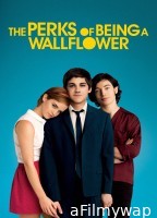The Perks Of Being A Wallflower (2012) ORG Hindi Dubbed Movie