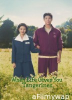 When Life Gives You Tangerines (2025) Season 1 EP09 To EP12 Hindi Dubbed Web Series